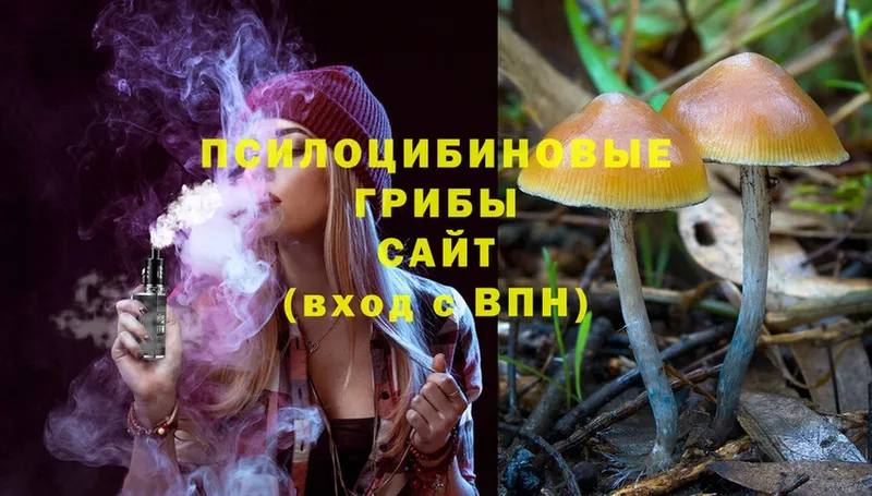 купить   Курганинск  Псилоцибиновые грибы Magic Shrooms 